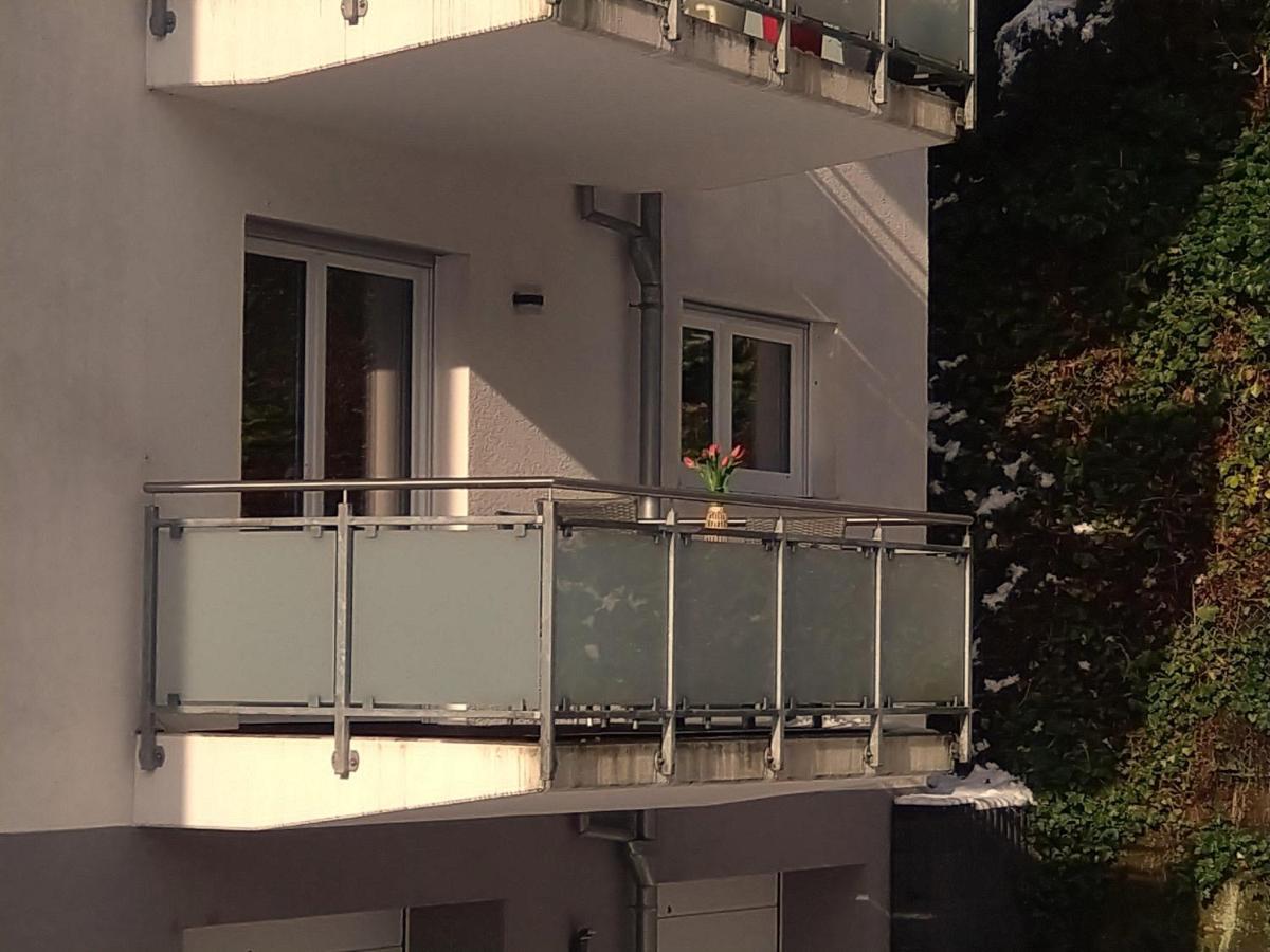 Ferienwohnung Am Wolfsweg Merzig Exterior photo